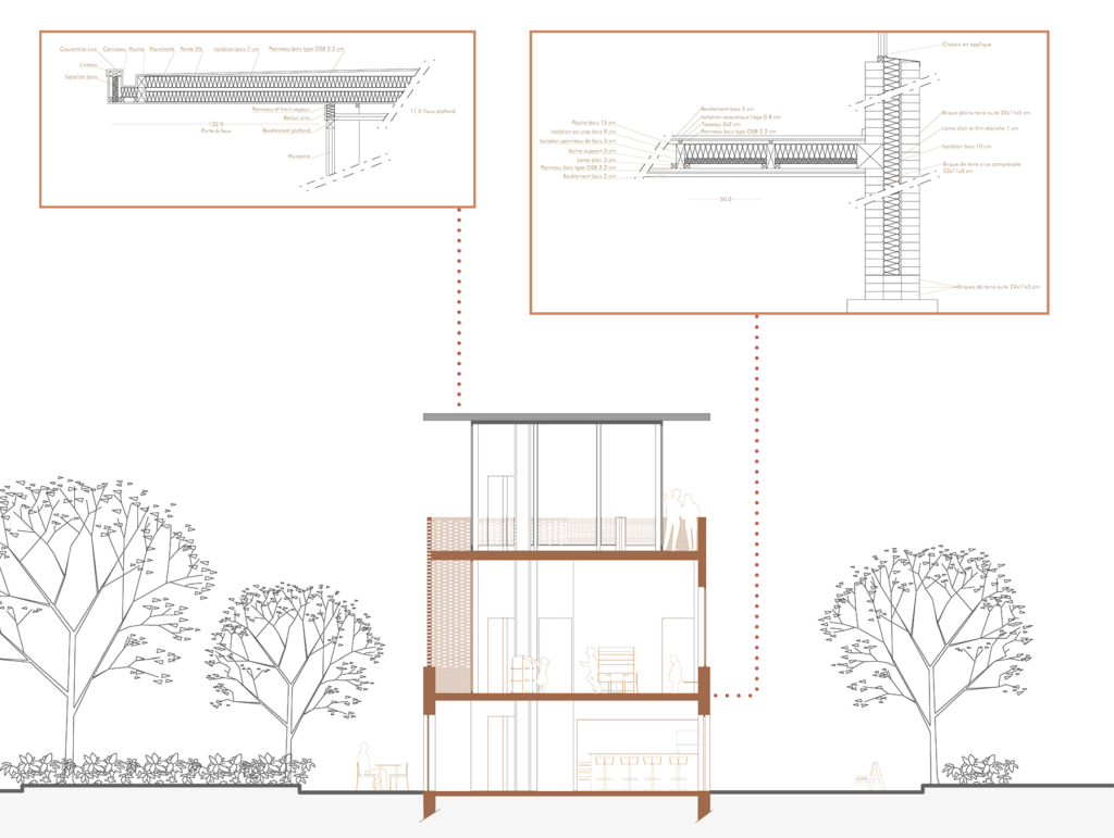 ©SoléaneLeroyArchitecture_coupe_transversale_extension